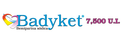 Badyket logo7500UI